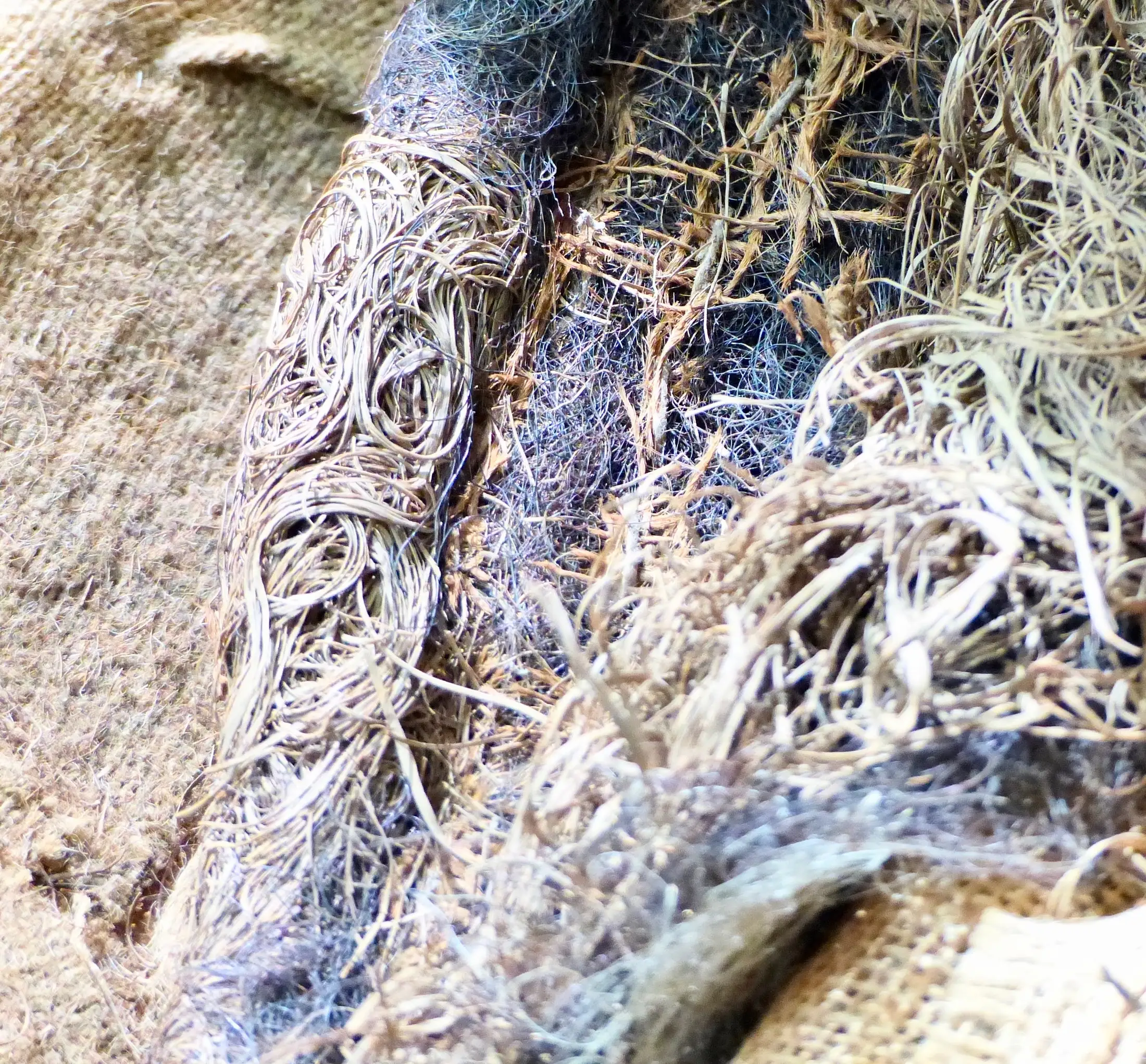 Atelier Sidebyside Montmartre Sophie Quere 24