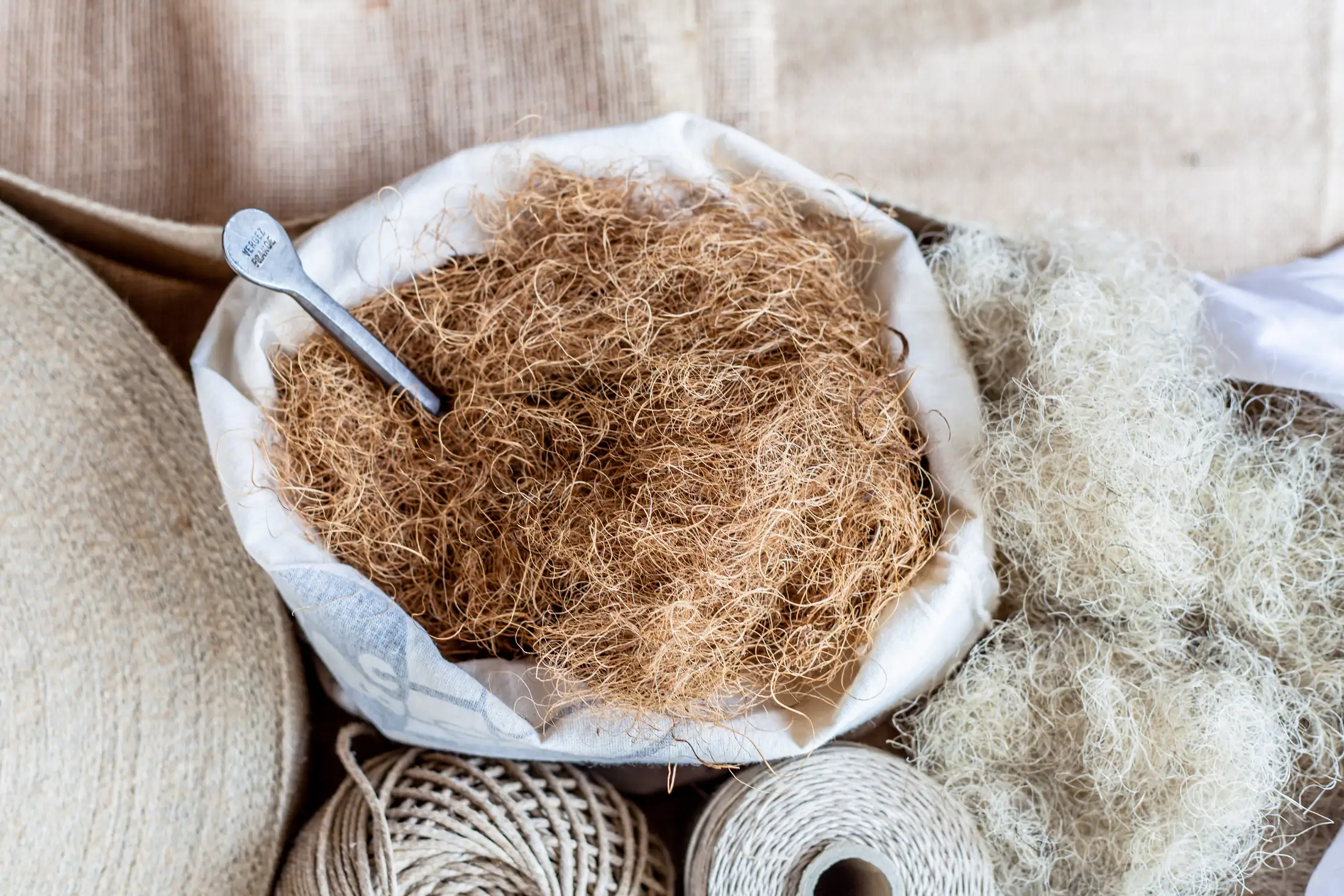 Atelier Sidebyside Montmartre Sophie Quere 38